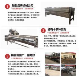 全自动家禽屠宰设备与屠宰机械 提升效率与食品安全的未来之路